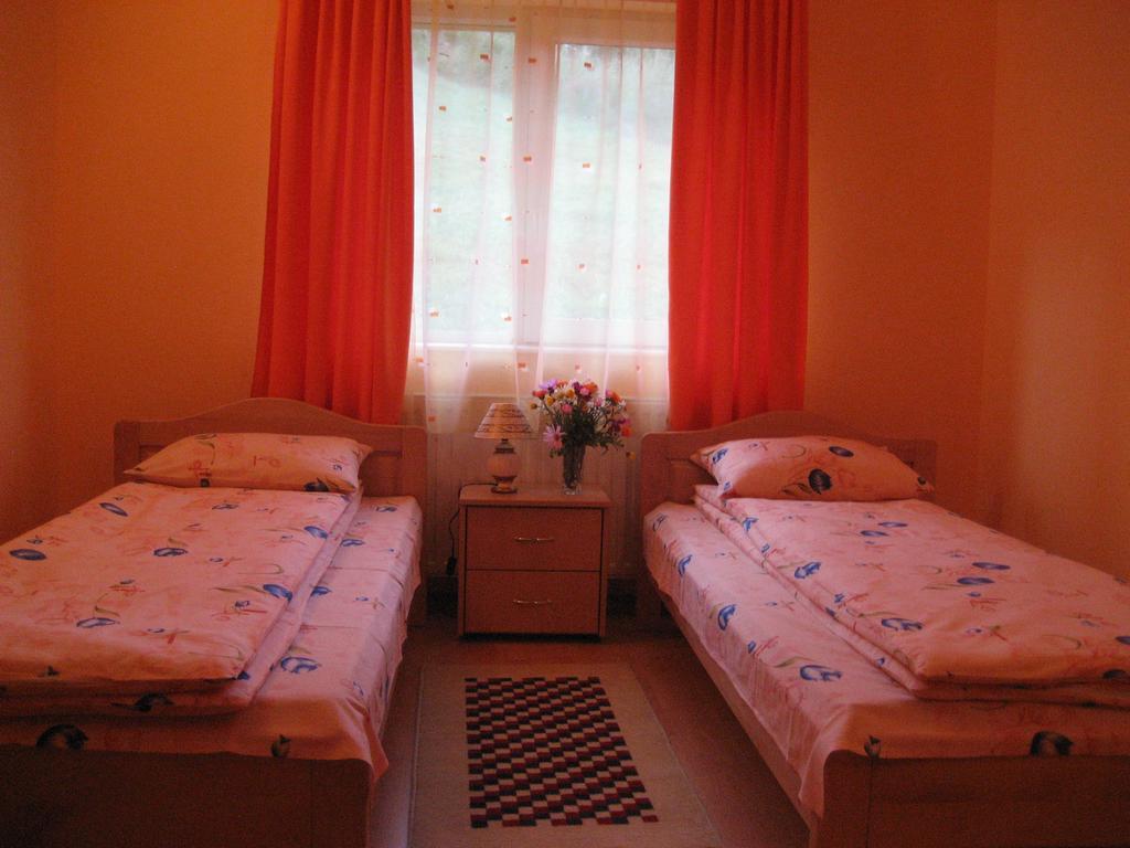 Băile Homorod Pensiunea Colt Alb מראה חיצוני תמונה